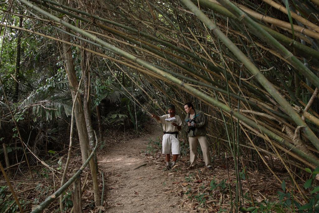 Tanjong Jara Resort, Terengganu - A Small Luxury Hotels Of The World Dungun Eksteriør bilde Bamboo forest in the park